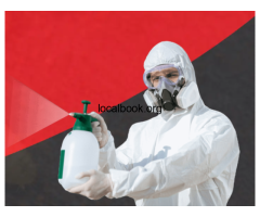Termite control service at affordable rates in Dubai