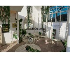 Coaching Dubai – Professional Life Coaching for Growth & Success - 3